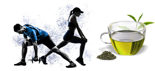 چای سبز و ورزش
