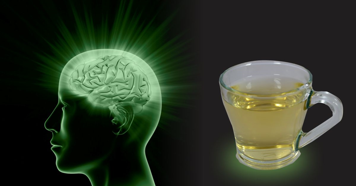 خواص چای سبز برای بهبود عملکرد مغز