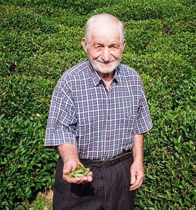 تولیدکننده چای ایرانی بذرافشان